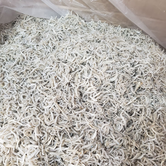 Đặc Sản Nha Trang - Cá Cơm Mờm Sữa Loại 1 Seavy 1kg