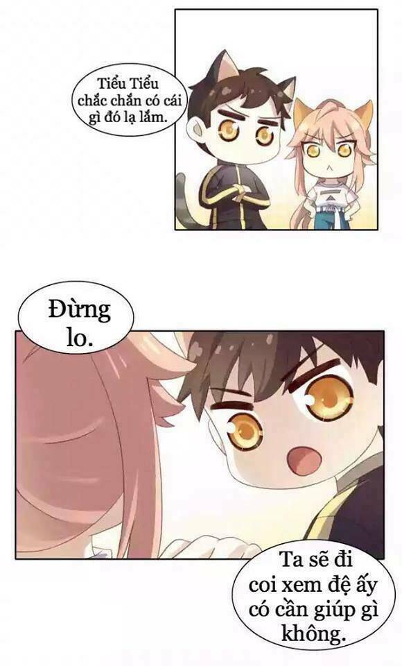 dưới móng vuốt mèo chapter 11 2