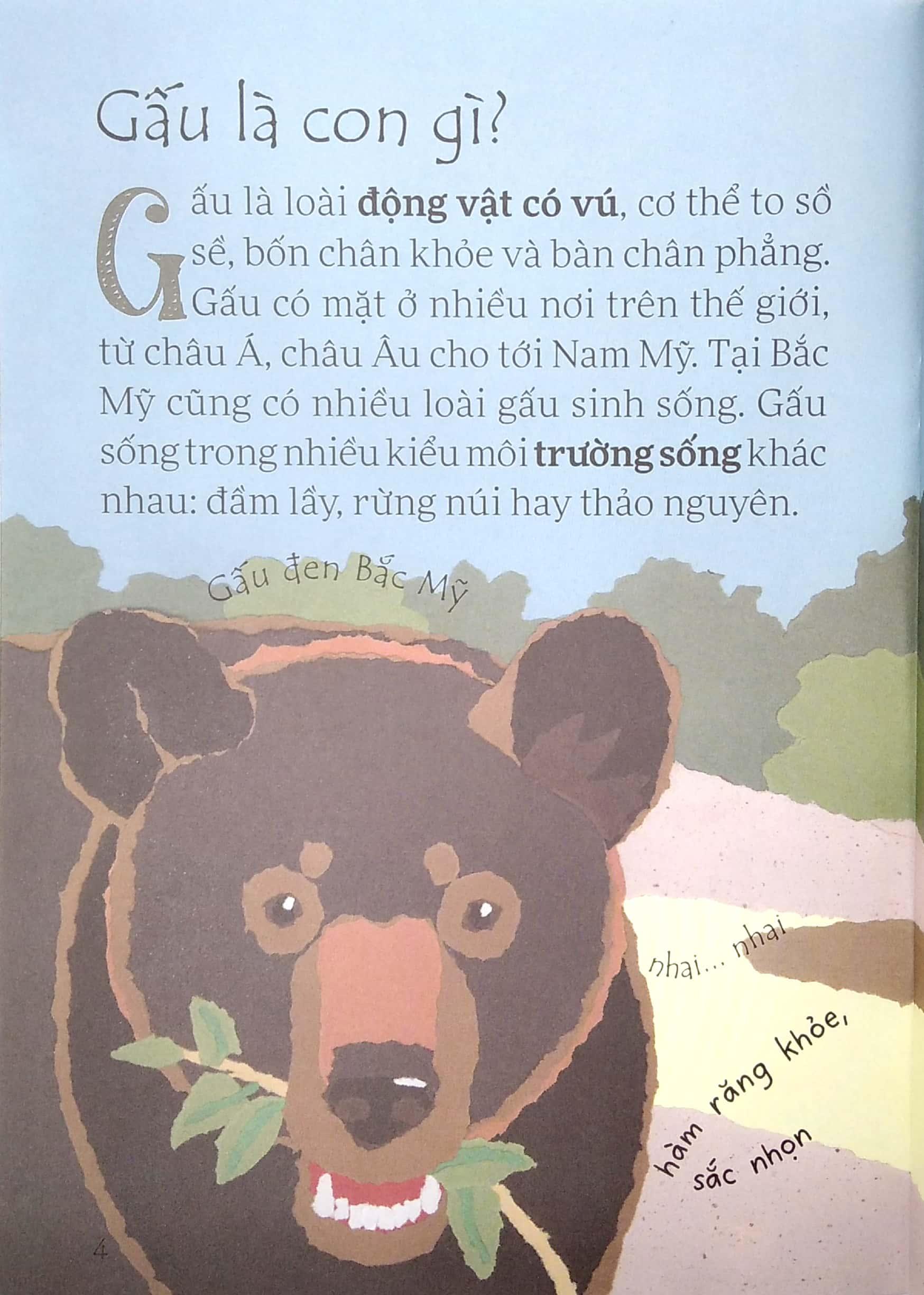 Sách Gấu Đen Có Nguy Hiểm Không?