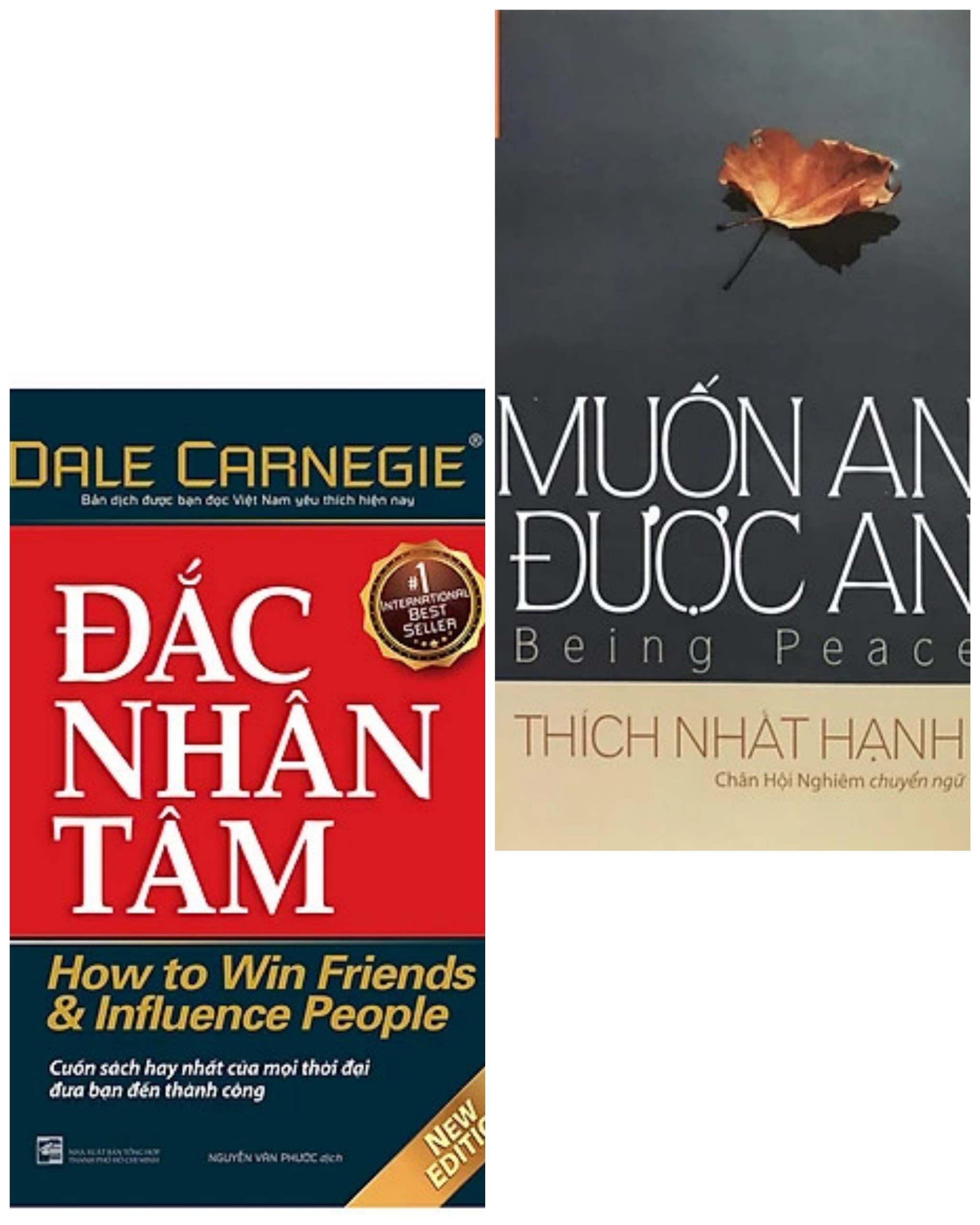 Combo 2 cuốn sách kỹ năng đọc nhiều: Đắc Nhân Tâm + Muốn An Được An