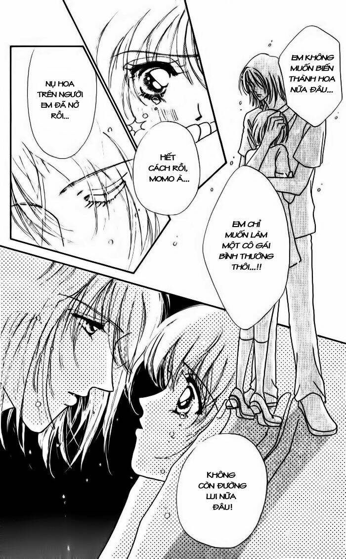 hana ni nare chapter 7 13