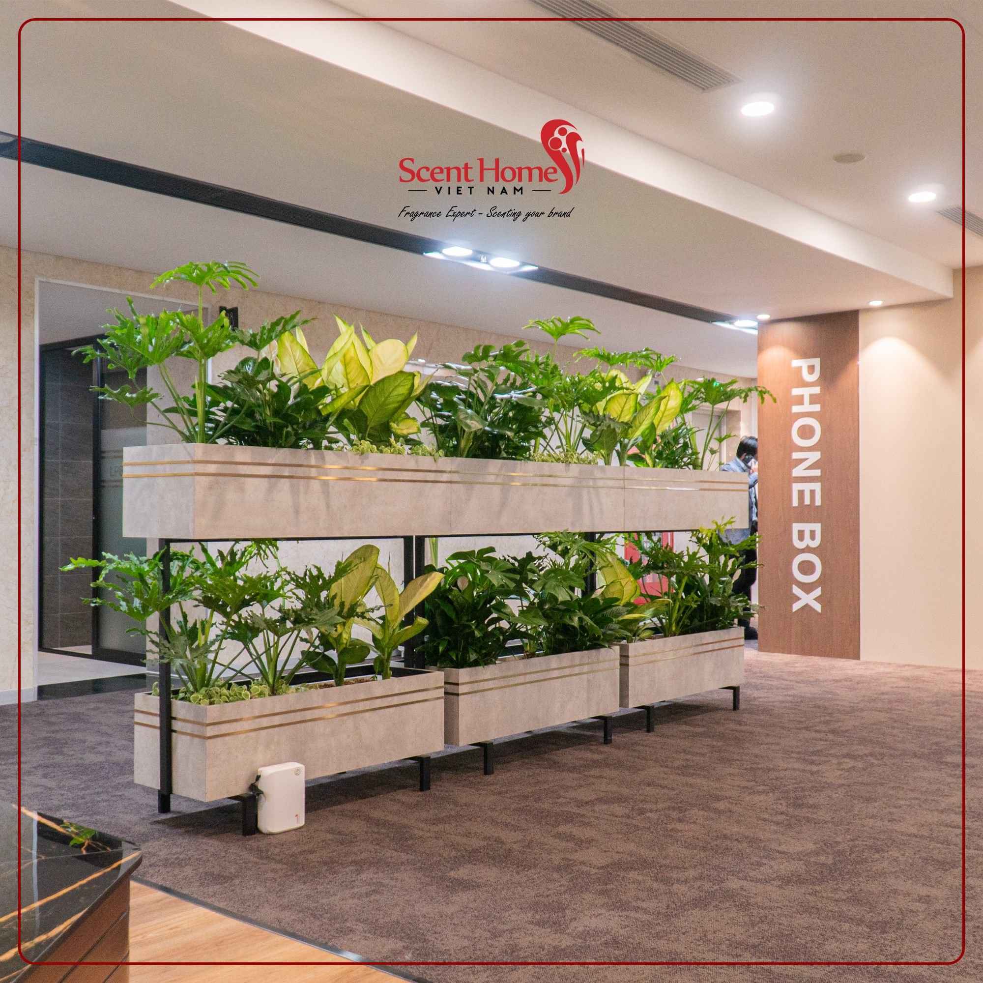 Máy tạo hương thơm cao cấp Scent Homes