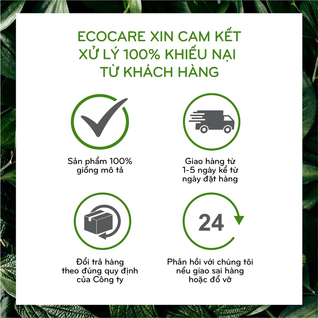 Nước rửa tay hữu cơ diệt khuẩn dạng bọt hương Nhài 4000ml thương hiệu Ecocare ( tặng kèm vỏ tạo bọt)