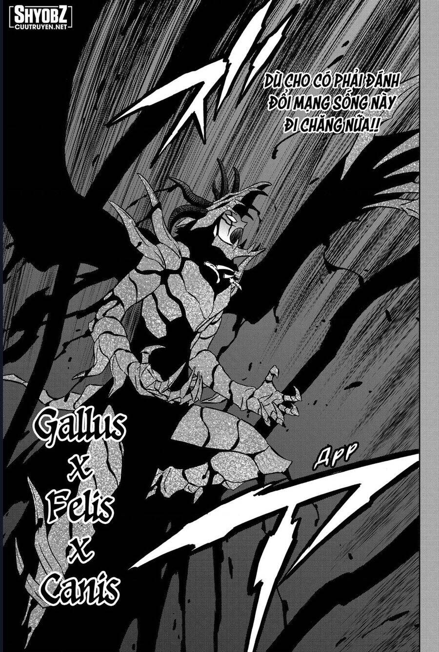 black clover - pháp sư không phép thuật chapter 375 5