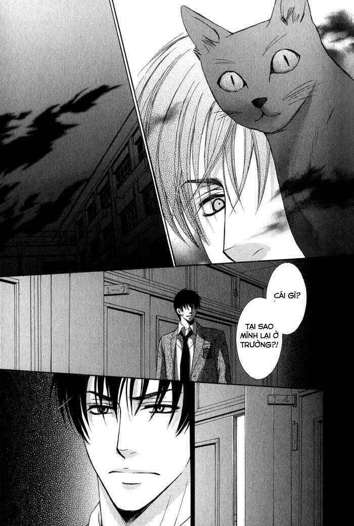 neko mata chapter 4 20