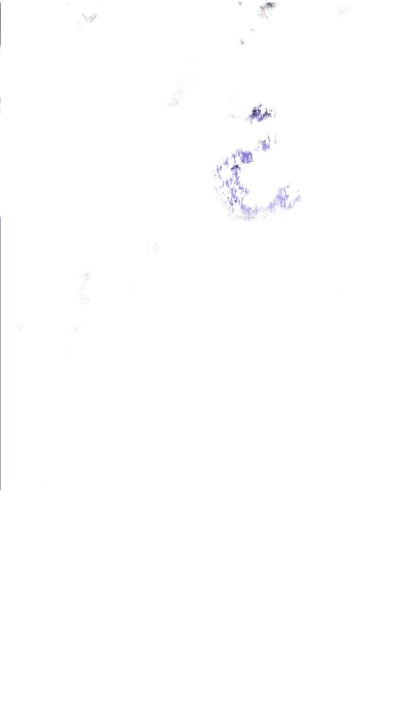 isabela chapter 4 25