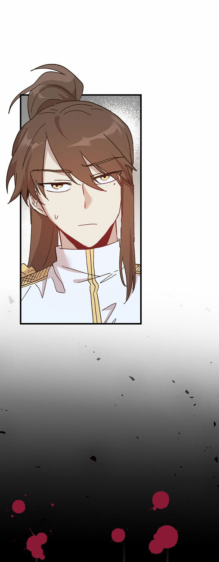 công chúa giả điên chapter 45.1 17