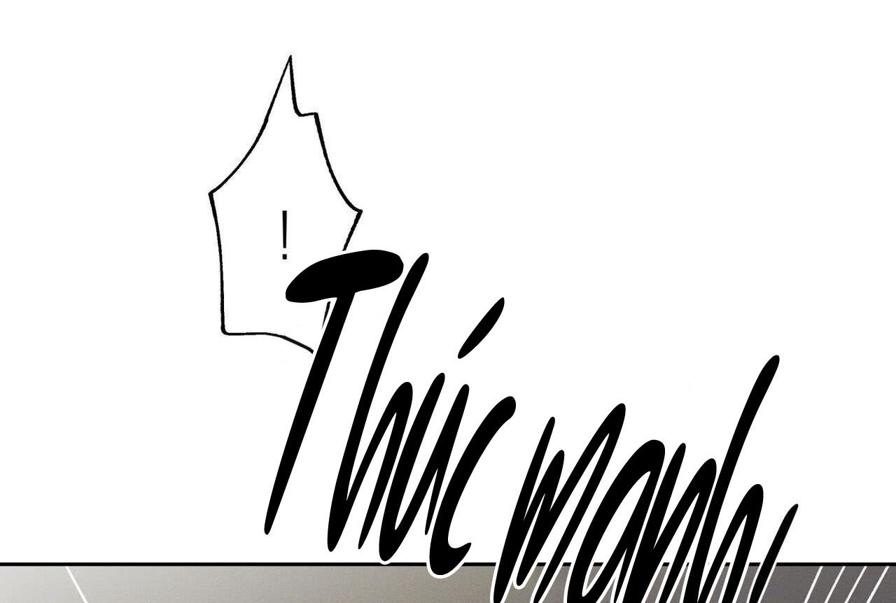 chàng giao pizza và gold palace chapter 47 35