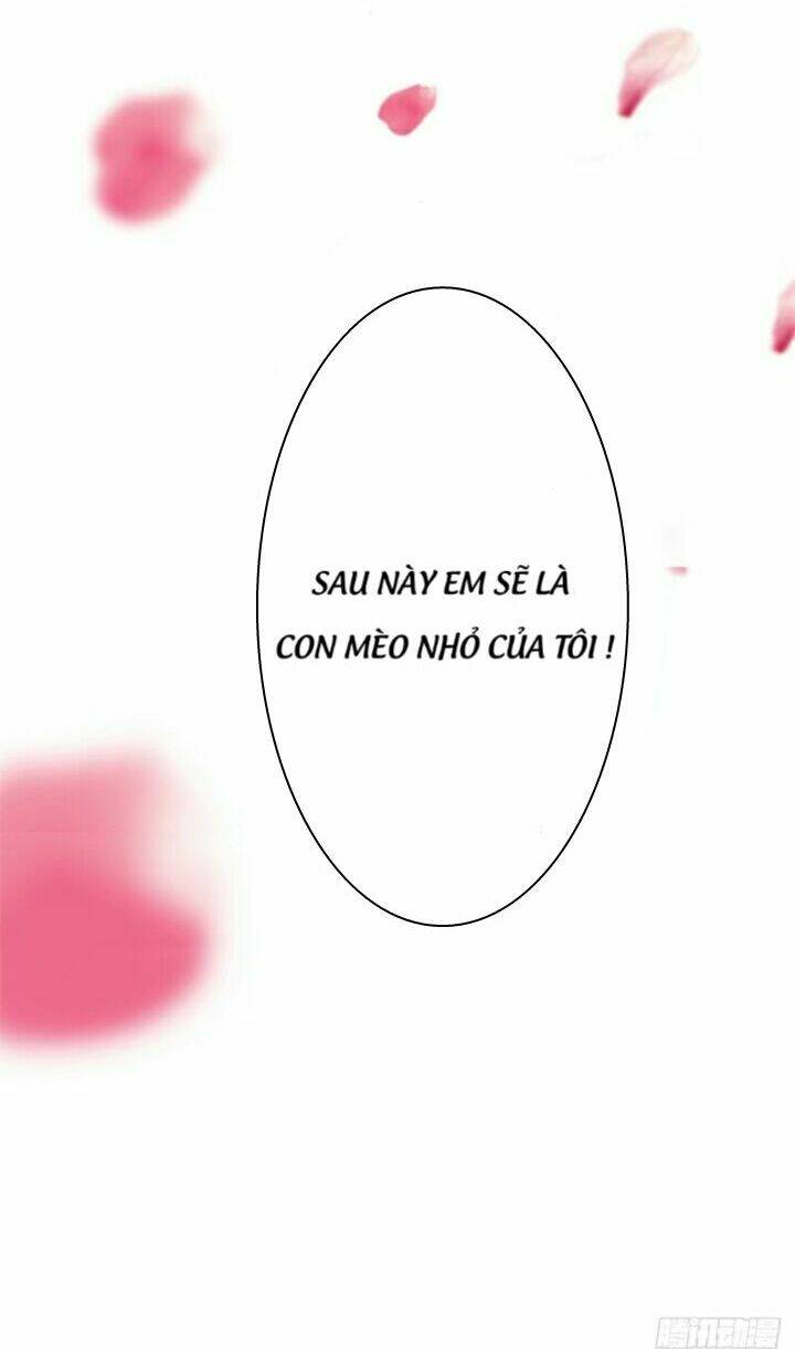thất ức kiều thê sủng ái ký chapter 1 14