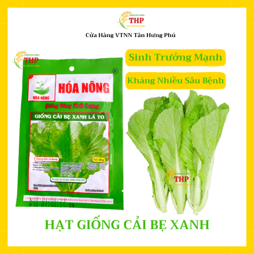 Hạt giống Cải Bẹ Xanh Lá To | Hạt giống | gói 20gr