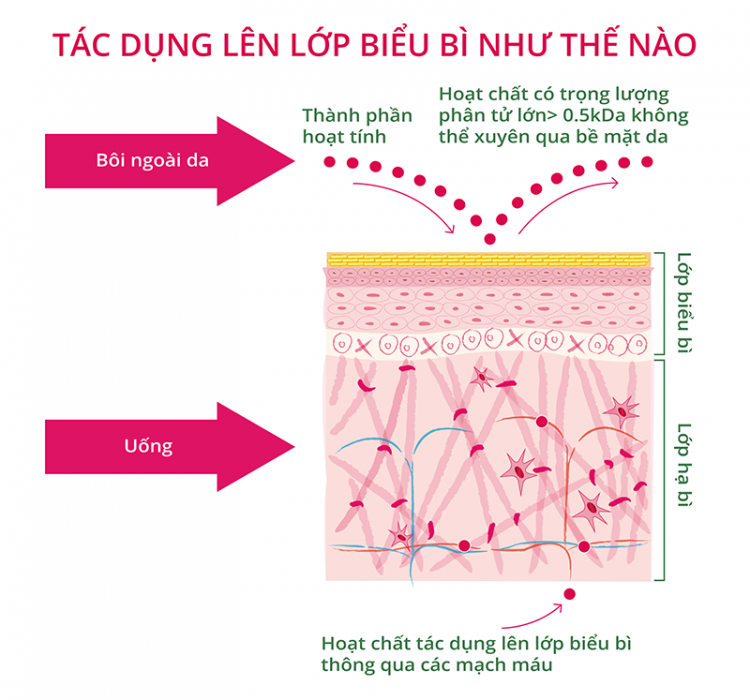 viên uống thực phẩm chức năng trắng da giảm nám từ bên trong của mỹ Spathion White Skin Pharmekal04