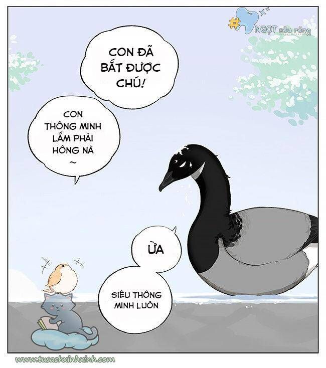 chim sẻ gọi ngỗng trời chapter 6 9