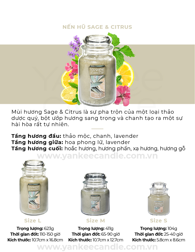 Nến hũ Sage &amp; Citrus - Yankee Candle