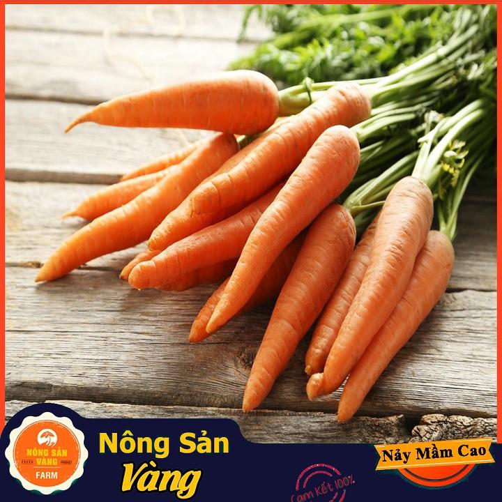 Hạt giống Cà Rốt Thường F1