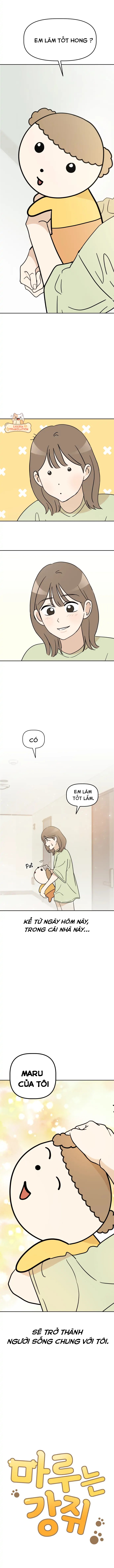 maru là một bé cún chapter 1 17