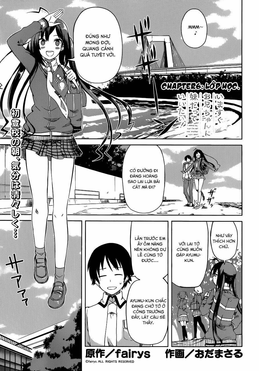 imasugu oniichan ni imouto datte iitai chapter 6 4