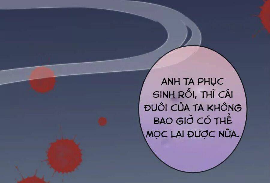 vương phi, vương gia nhà ngươi không ngốc nữa rồi chapter 5 20