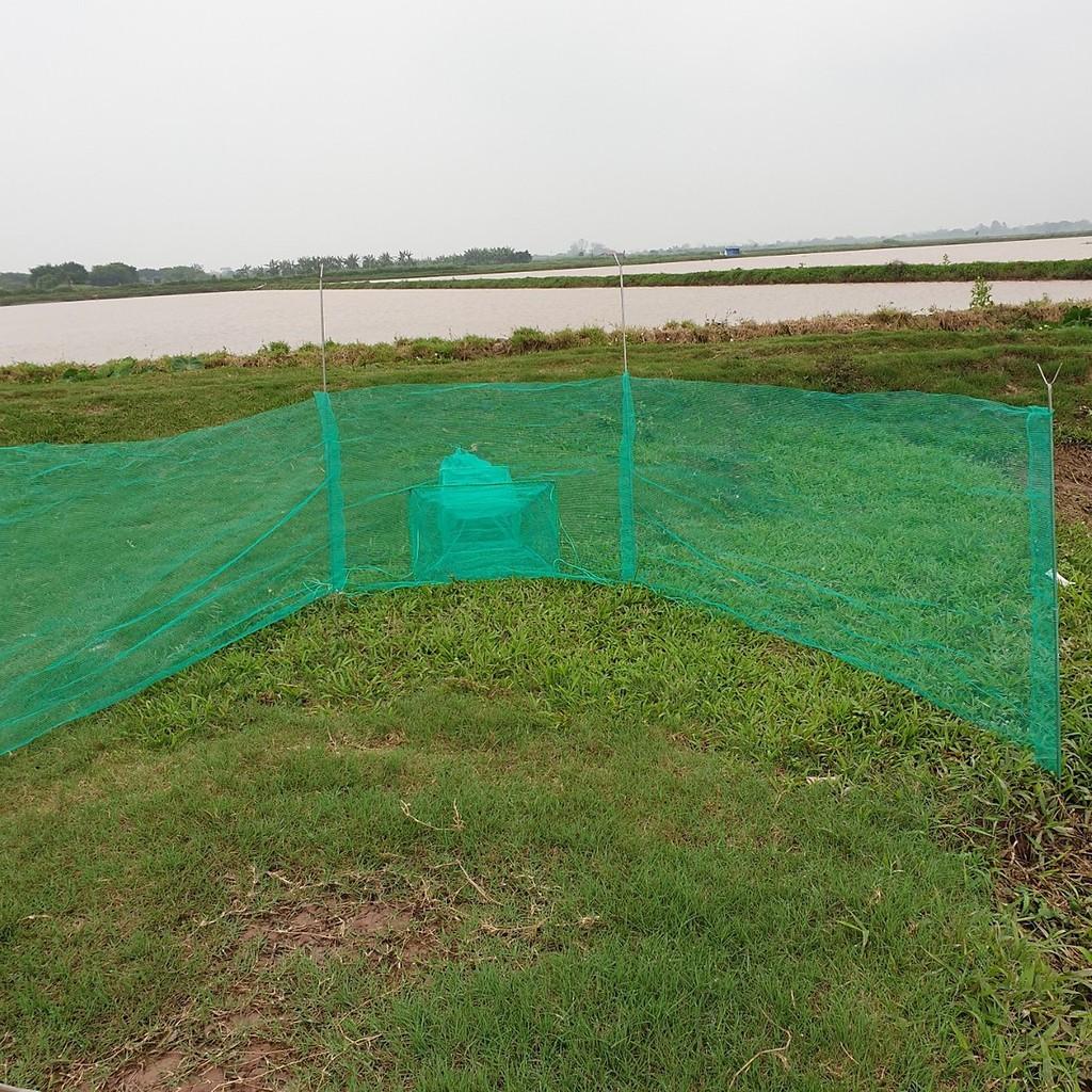 Hot Đăng chặn sông, cống - bắt tôm tép tất cả các loại cá - Dớn bắt cá, cua, lươn - Top1VN