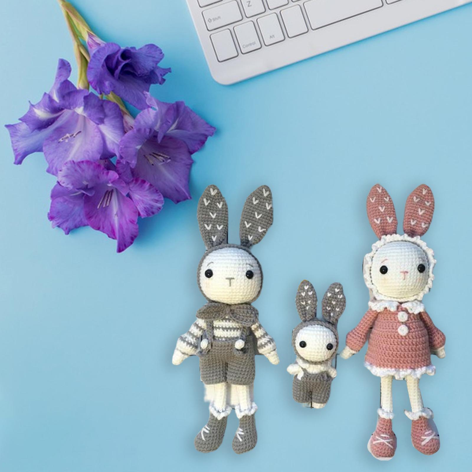 DIY Cartoon Rabbit Doll Crochet   to Make Decoration