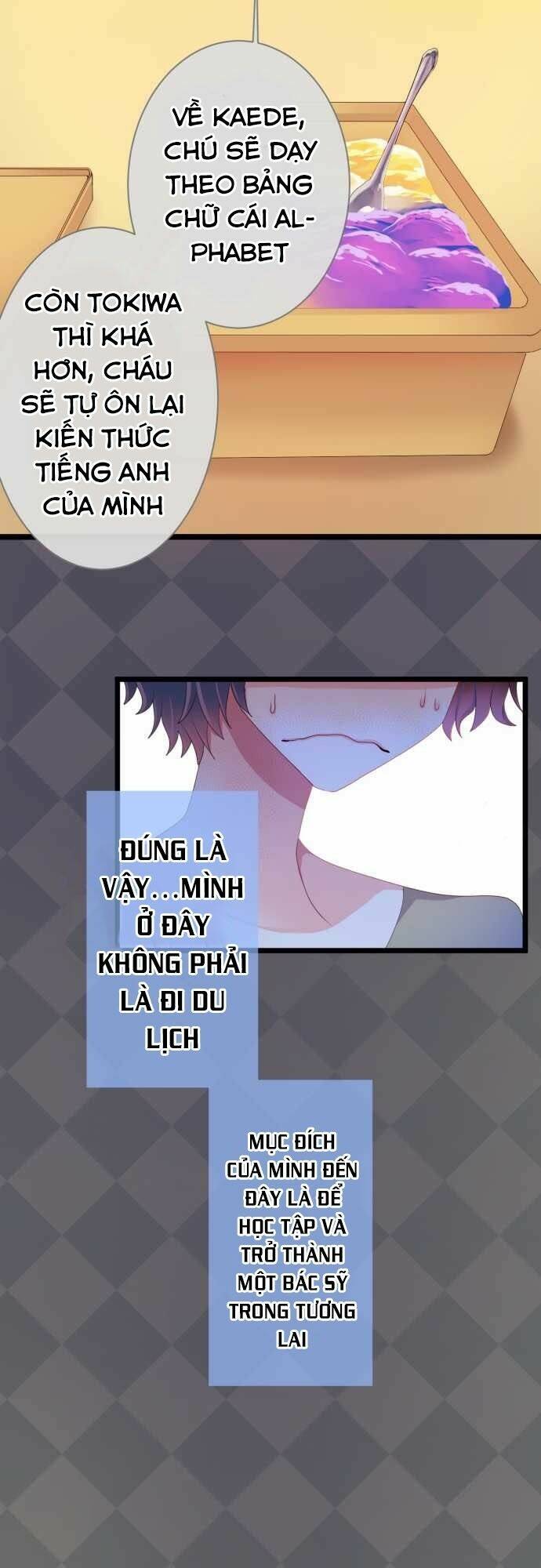 international chapter 4 64