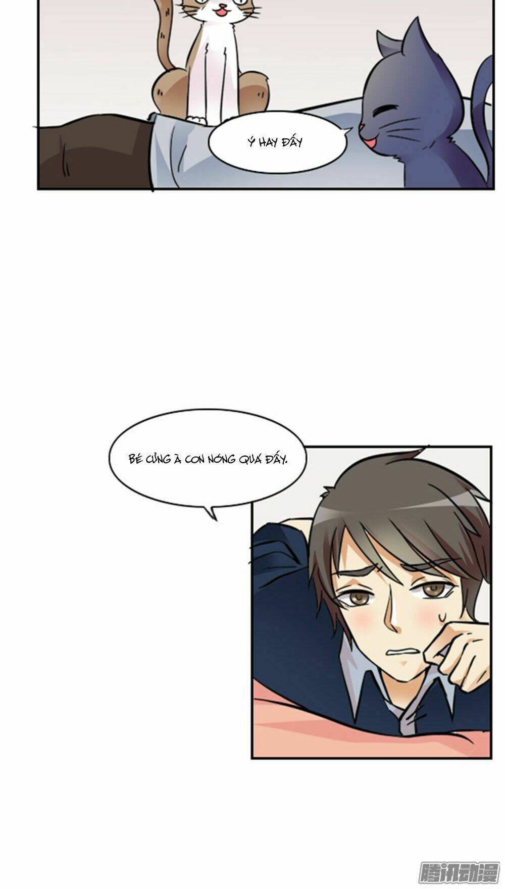 hai chú mèo totem chapter 9 20