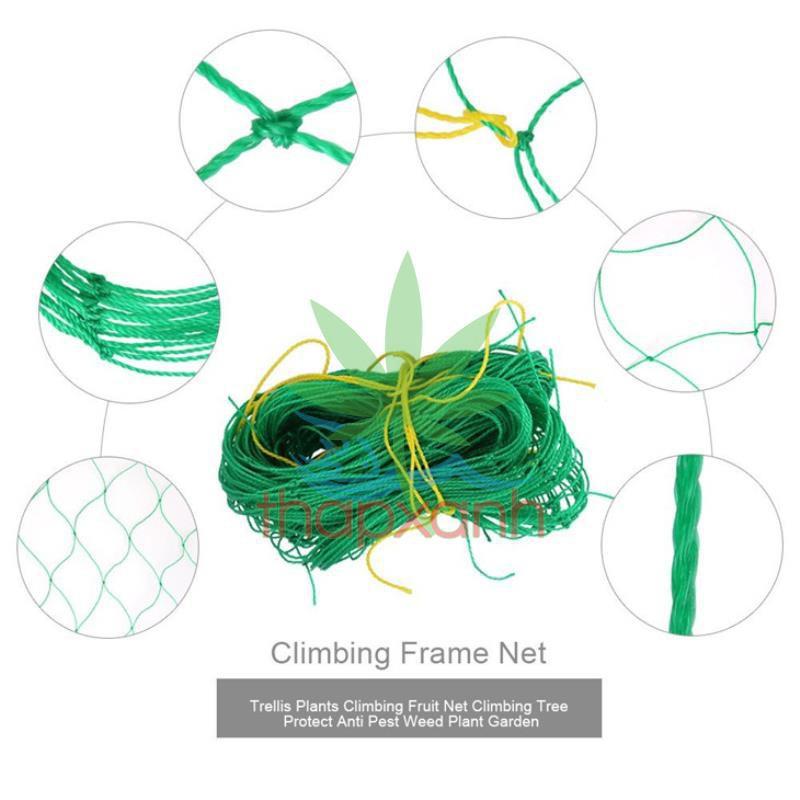 Lưới làm giàn dây leo (1.8m x 1.8m), lưới làm giàn cây Ollie net