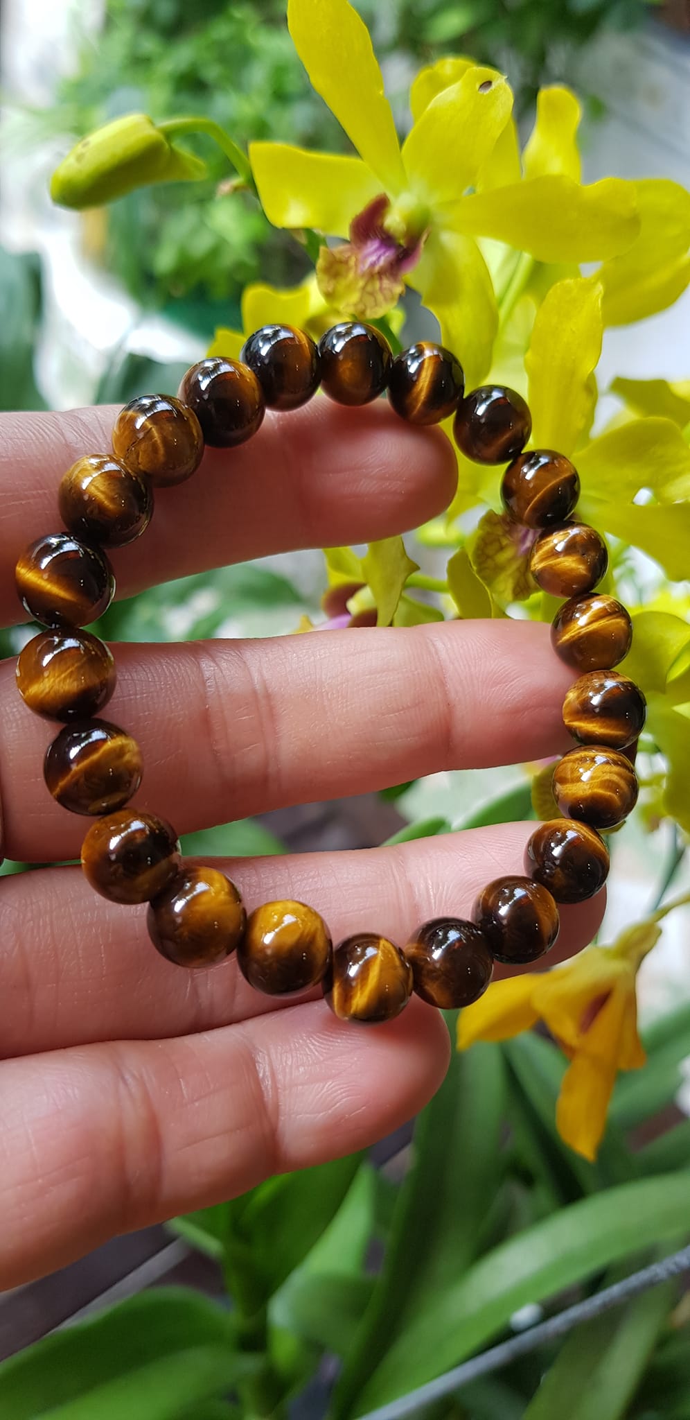 Vòng tay phong thuỷ may mắn nữ đá mắt hổ tự nhiên vàng nâu bóng mượt đẹp Size nữ vòng hạt 8mm Vòng hợp nữ mệnh kim mệnh thổ mệnh Thủy đeo tay đẹp ạ