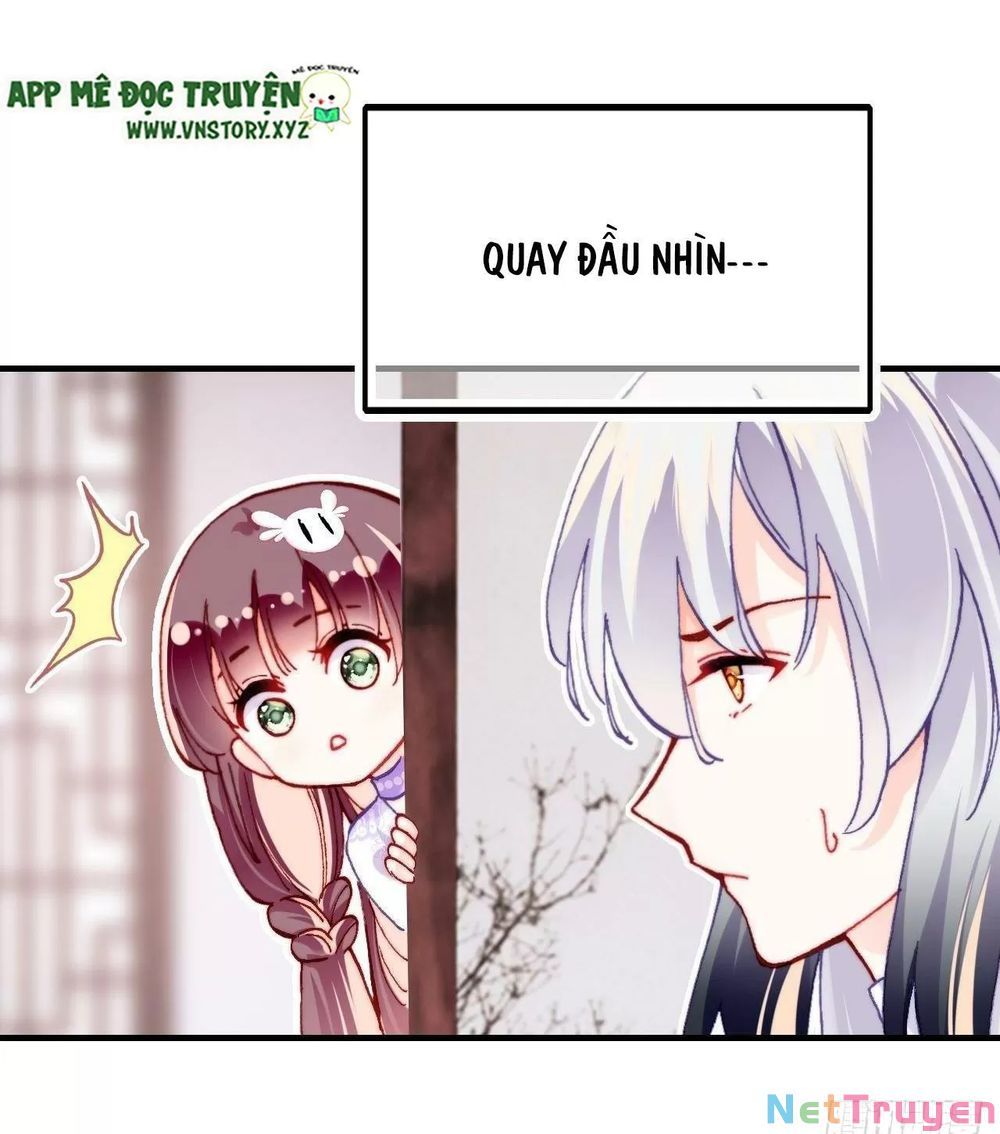 lại bị bệnh chiều chuộng quấn lấy chapter 39 11