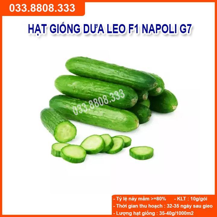 HẠT GIỐNG DƯA LEO NAPOLI G7 -  GIỐNG CHUẨN, CHẤT LƯỢNG CAO - GÓI 1G