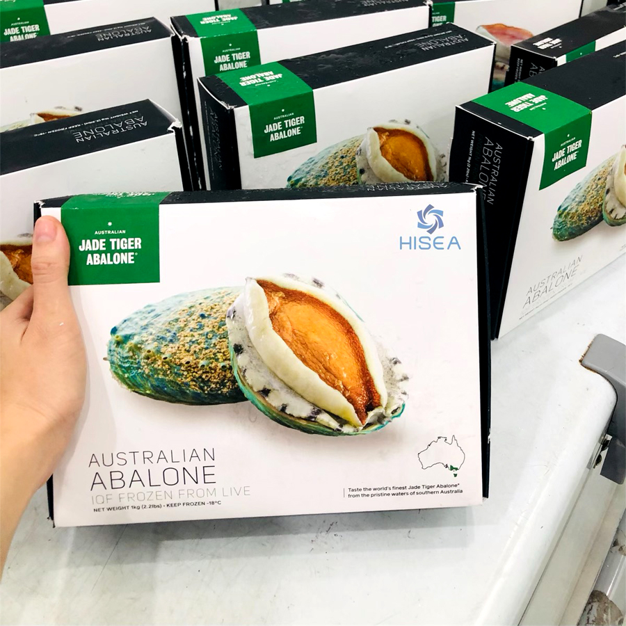 Bào ngư Úc viền xanh - 1kg