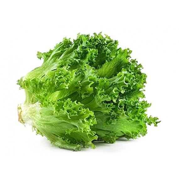 Hạt Giống Xà lách Xoăn Xanh 5gr F1 Dễ Trồng Cây Khỏe