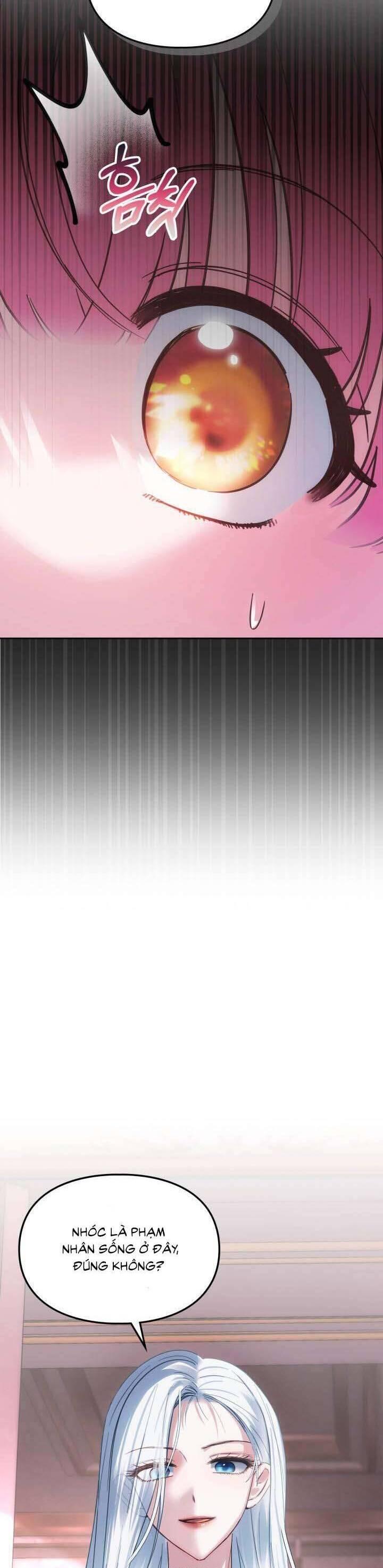 Phạm Nhân Bé Con Của Dinh Thự Mùa Đông Chapter 27 48