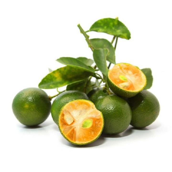Cây giống quất chua thái, quả xanh