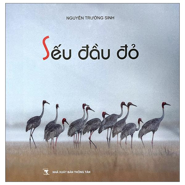 Sách - Sếu Đầu Đỏ - Bìa Cứng
