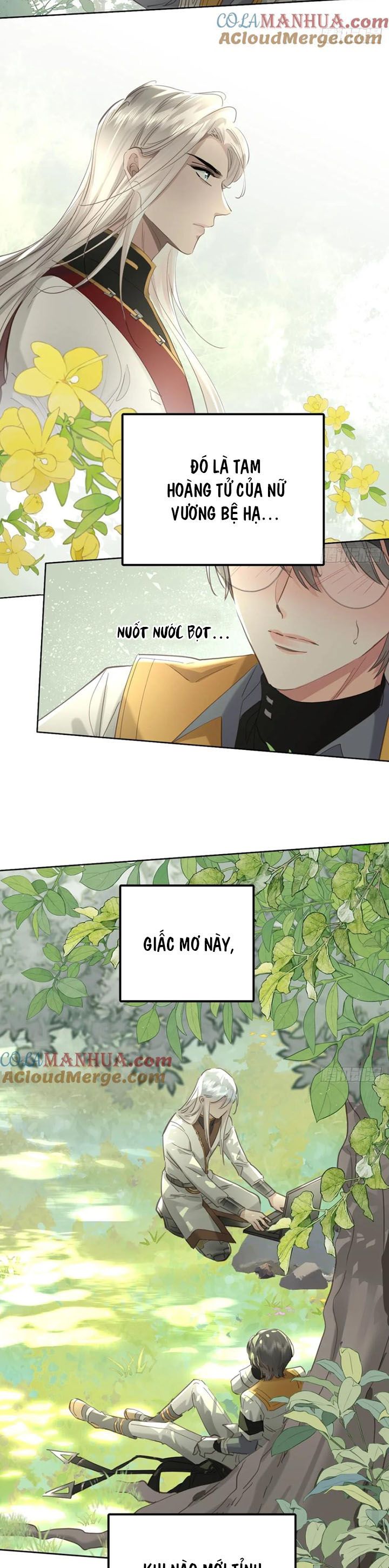 Ong Thợ chapter 41