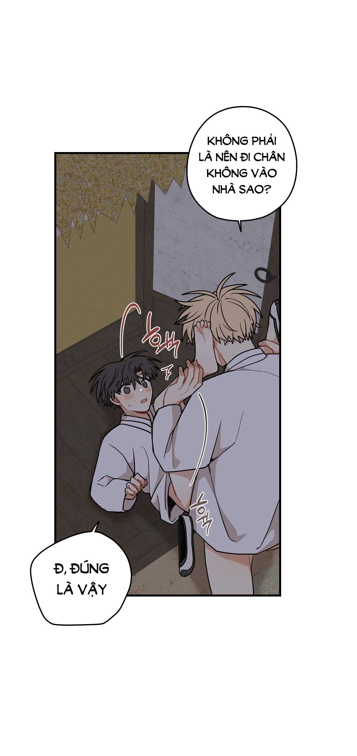 [18+] con đường hoa chuông vàng - liên kiều rơi chốn này chapter 50.2 35