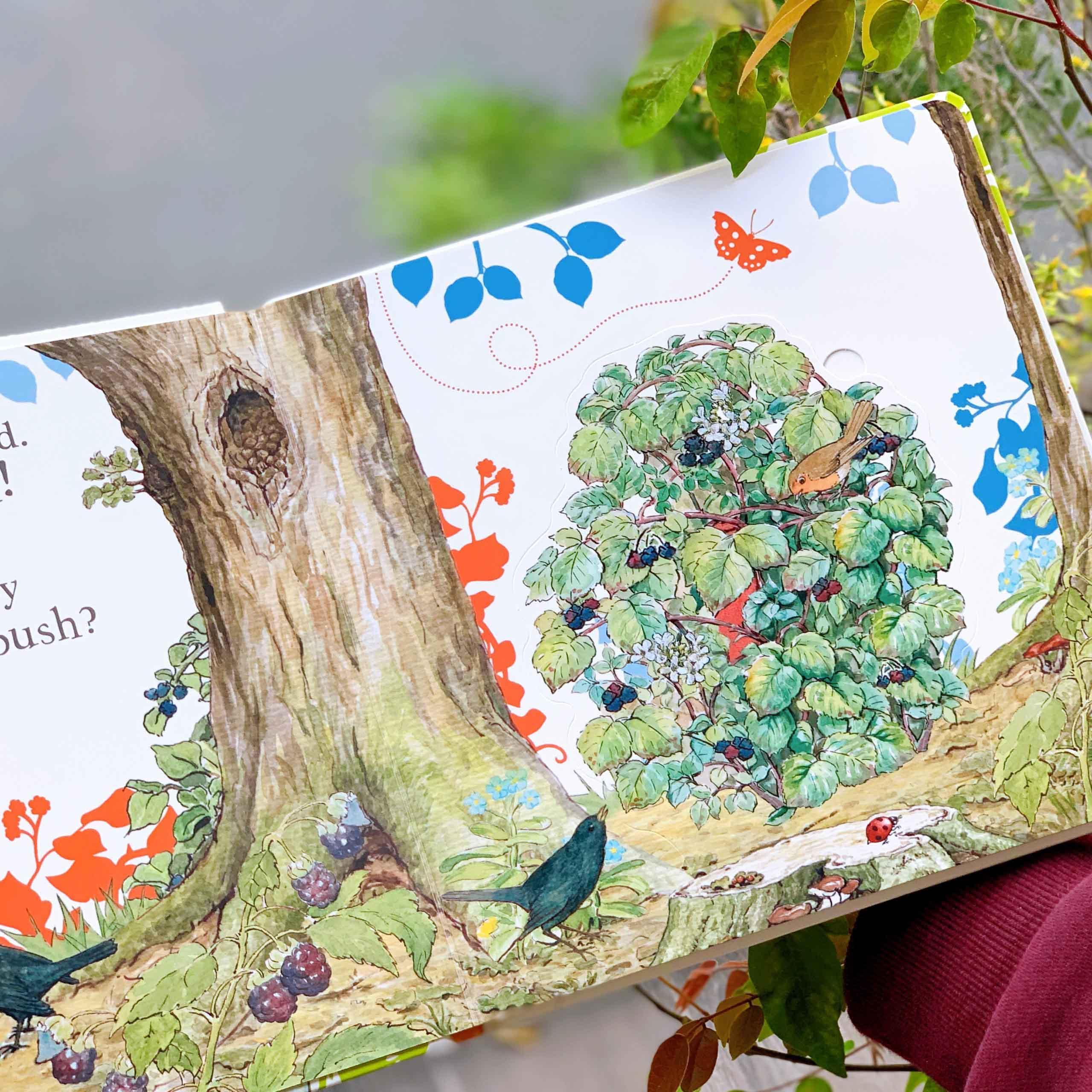 Where is Peter Rabbit? : Lift the Flap Book