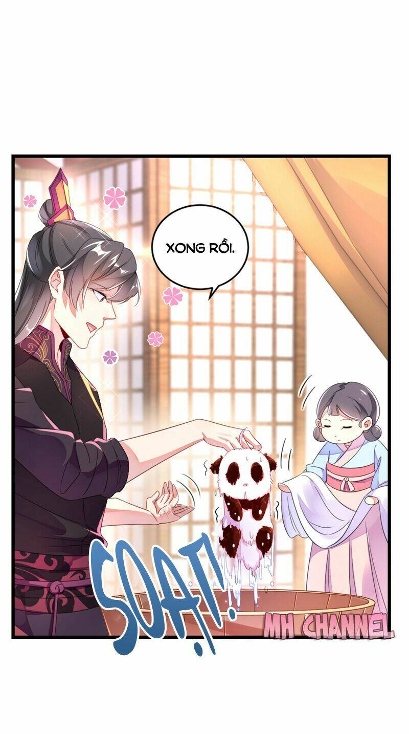 thiên thần gấu trúc muốn được ôm chapter 13 22