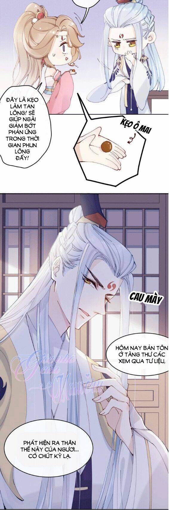 tiểu tiên gia sương hữu hỉ chapter 11 19