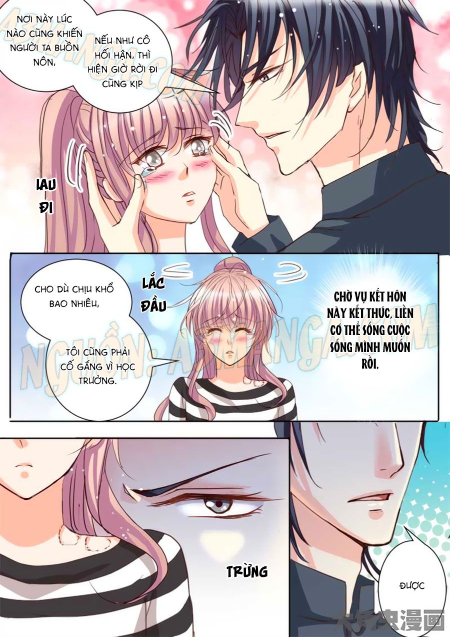 Bá Đạo Tổng Tài Yêu Ta chapter 21 - Trang 7