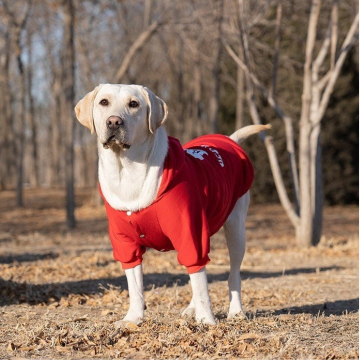 ÁO HOODIE CHO CHÓ RED AND BULL DÀNH CHO CHÓ LỚN - SP000604