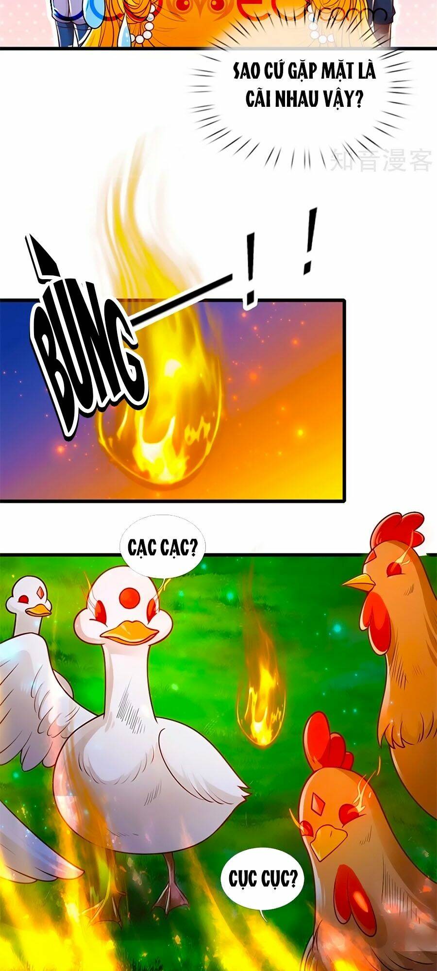 bỗng một ngày trở thành con gái nhà vua chapter 243 16