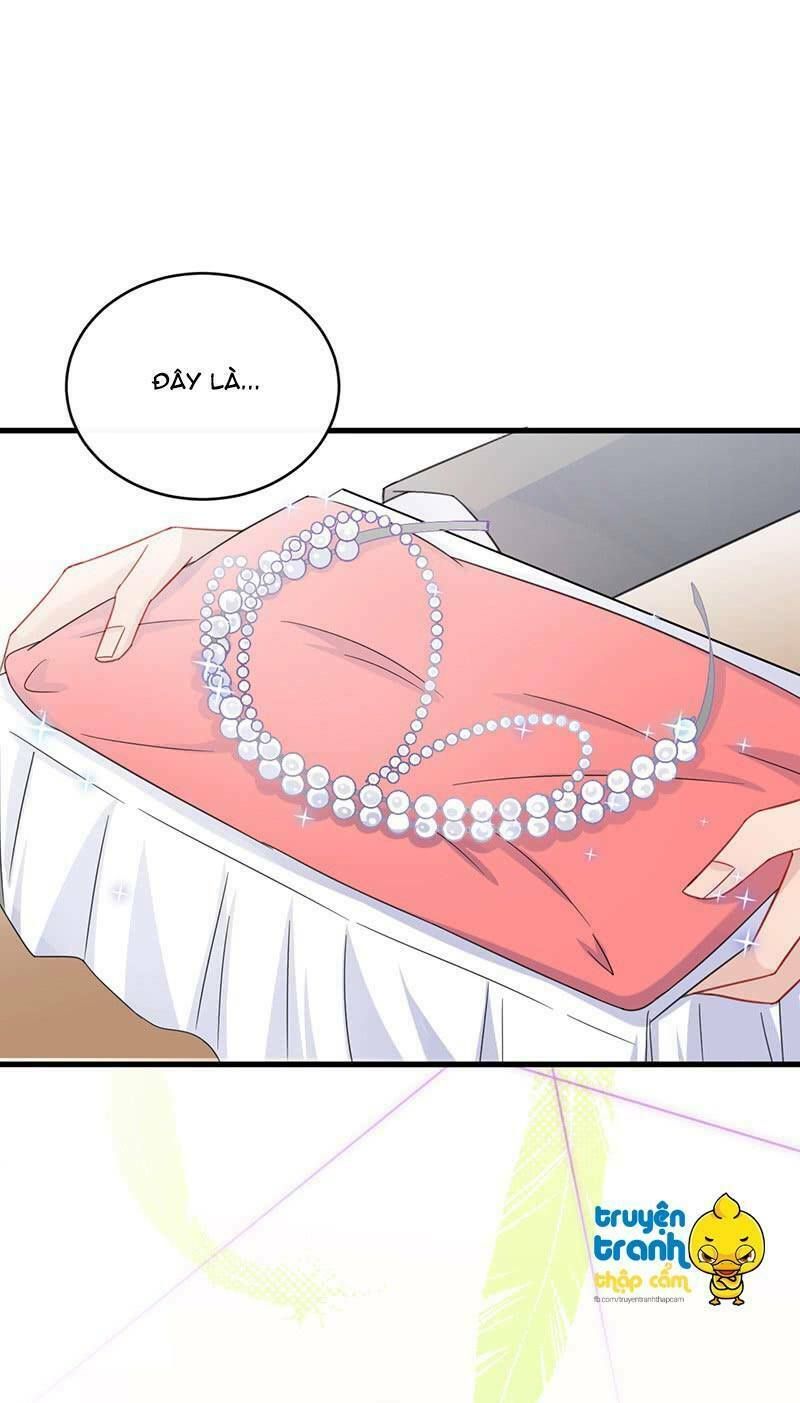 chọc tới chủ tịch tổng tài 2 chapter 20 24