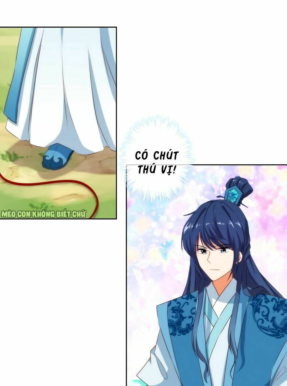 ồ, sủng phi đại nhân của ta chapter 16 23