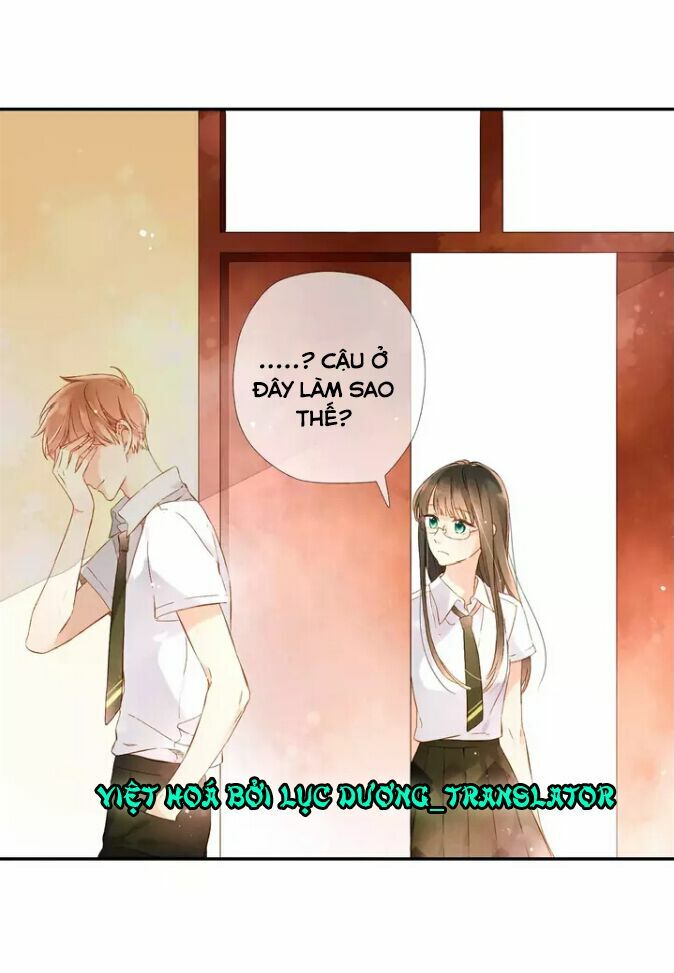 Tình yêu là màu hoa anh thảo chapter 27.1 6