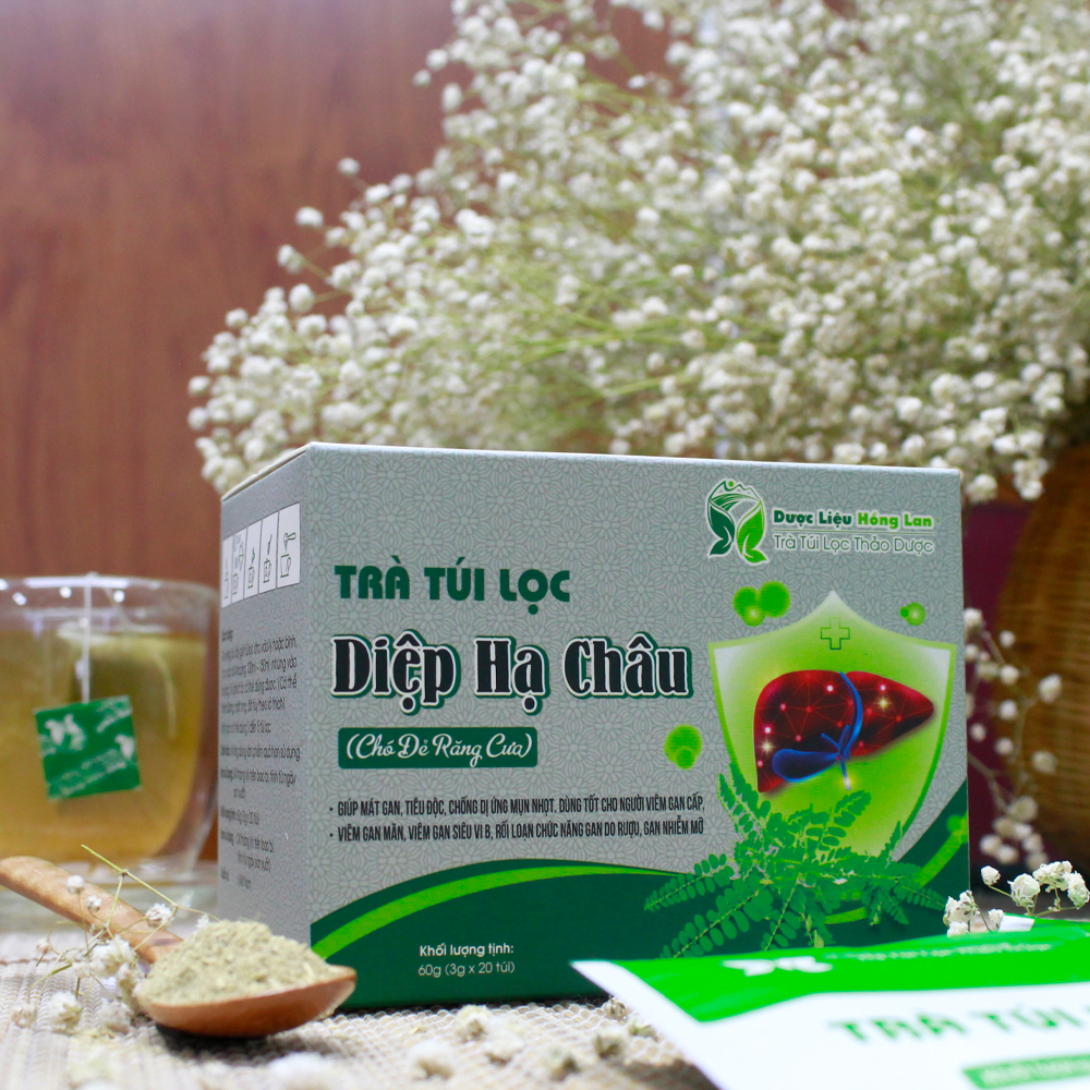 Trà Túi Lọc Diệp Hạ Châu (chó đẻ răng cưa) 60g (20gói x 3g) Dược Liệu Hồng Lan