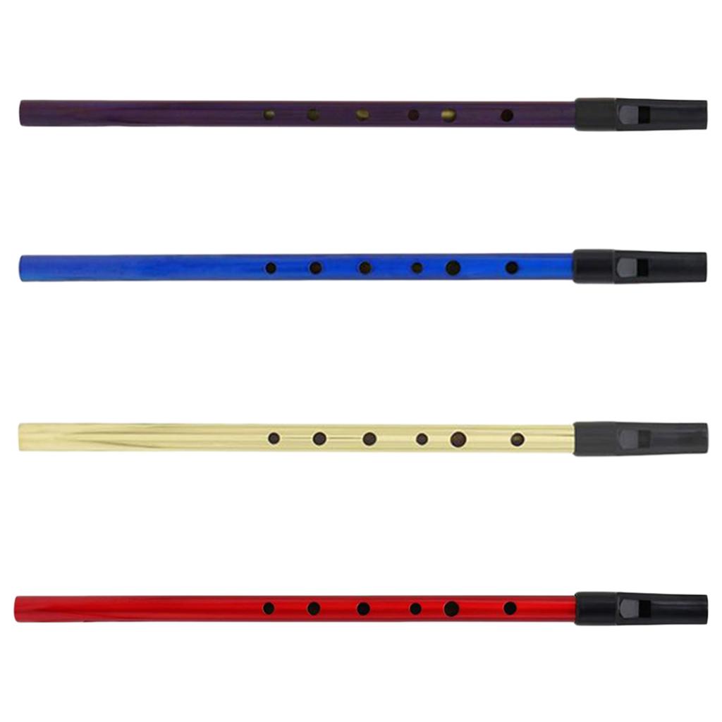 Irish Whistle Tin Whistle Flaut 6Hole Pennywhistle Ireland Instrument Purple