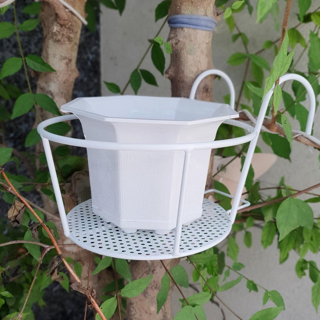 05 móc tròn treo hoa bằng sắt đặc sơn tĩnh điện có lưới đỡ chậu 22cm-Đồ Gia Dụng Tại HCM