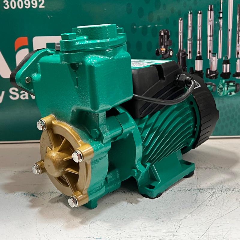 Máy bơm nước chân không tự mồi 370W cánh đồng TAIFU TGP128-T - Bảo hành 1 năm