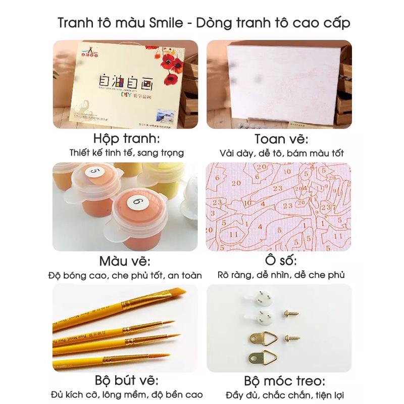 Tranh tô màu theo số Smile FMFP công chúa mèo D31091